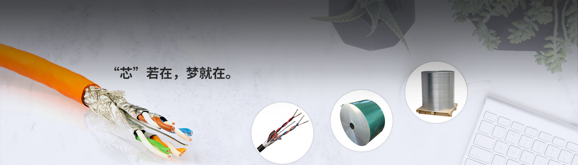 塑（sù）料（liào）塗層（céng）鋁帶用於電纜